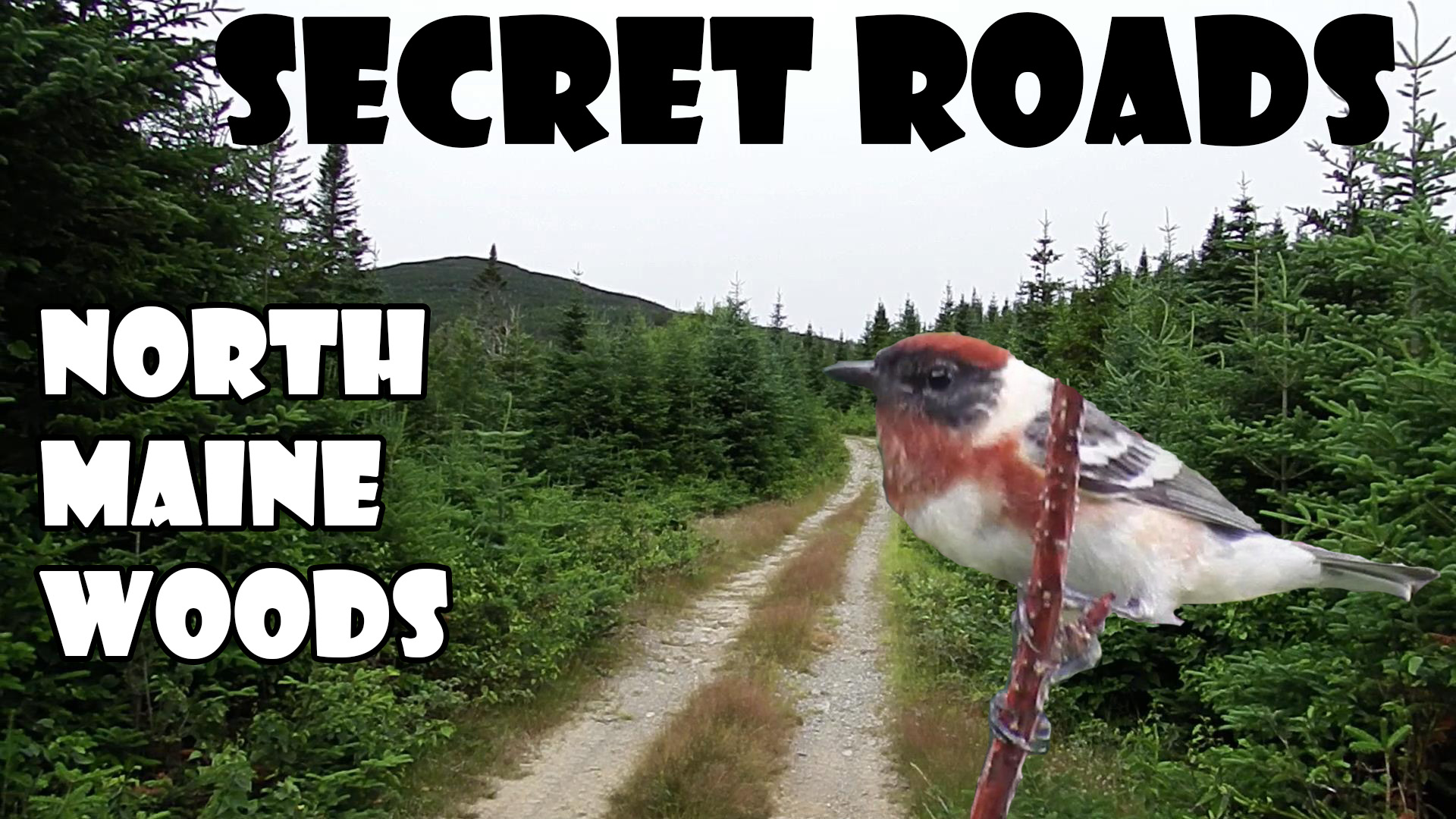 Secret Roads